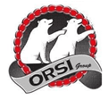 ORSI-GROUP