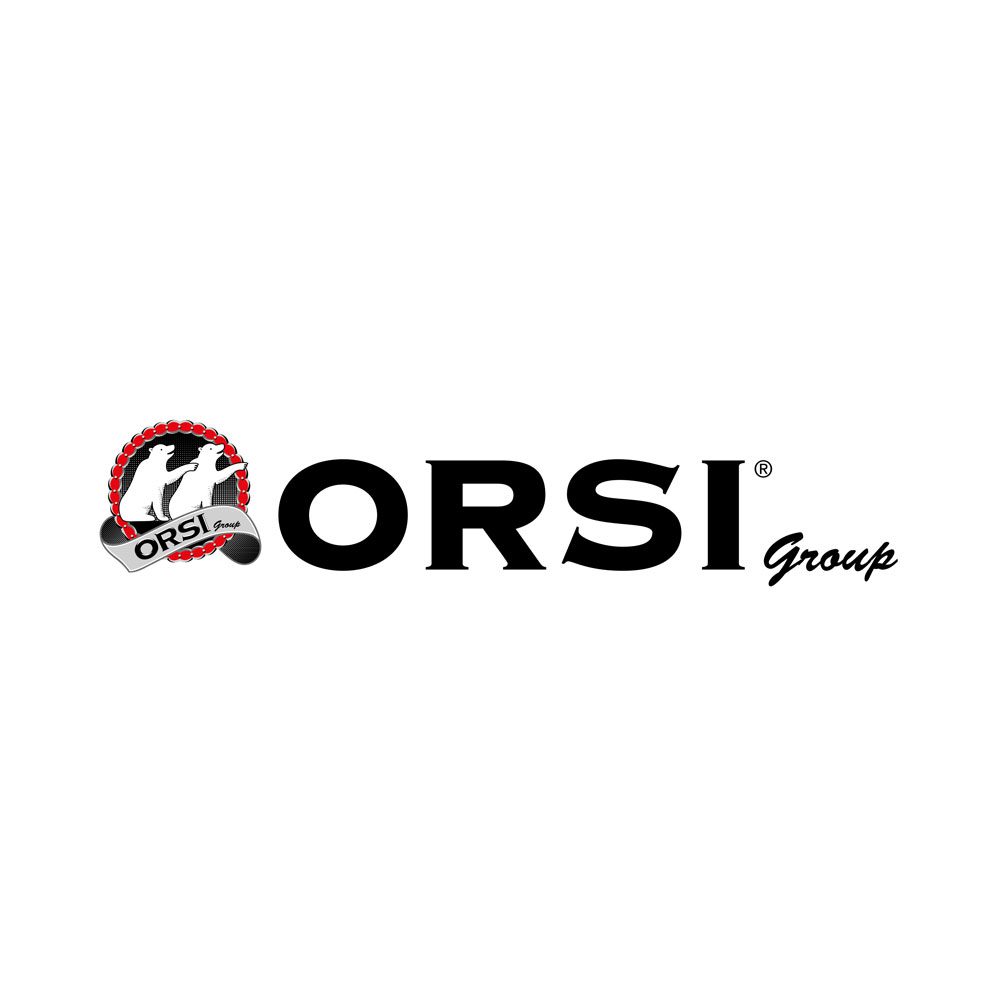 ORSI-Group-Srl-1x1-1